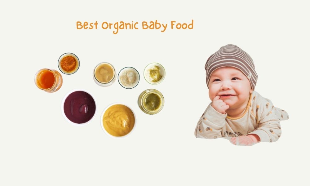 Best Organic Baby Food
