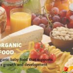 best organic baby food