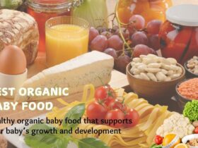 best organic baby food