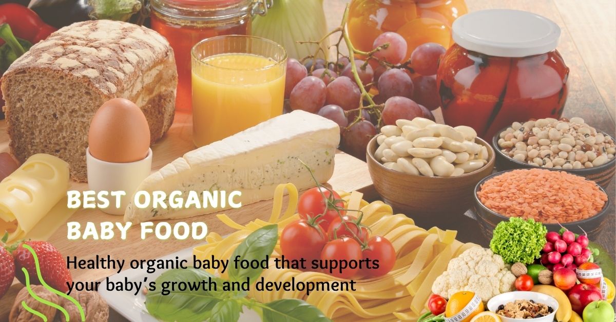 best organic baby food