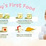 Stage 2 Baby Food