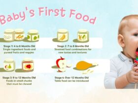Stage 2 Baby Food